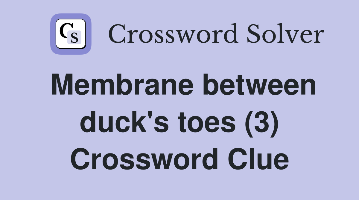 Membrane between duck's toes (3) Crossword Clue
