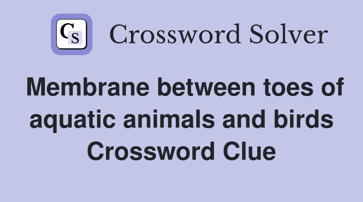 Membrane between toes of aquatic animals and birds Crossword Clue