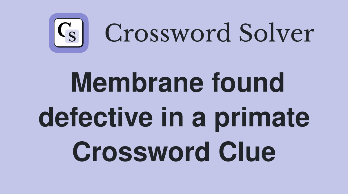 Membrane found defective in a primate Crossword Clue