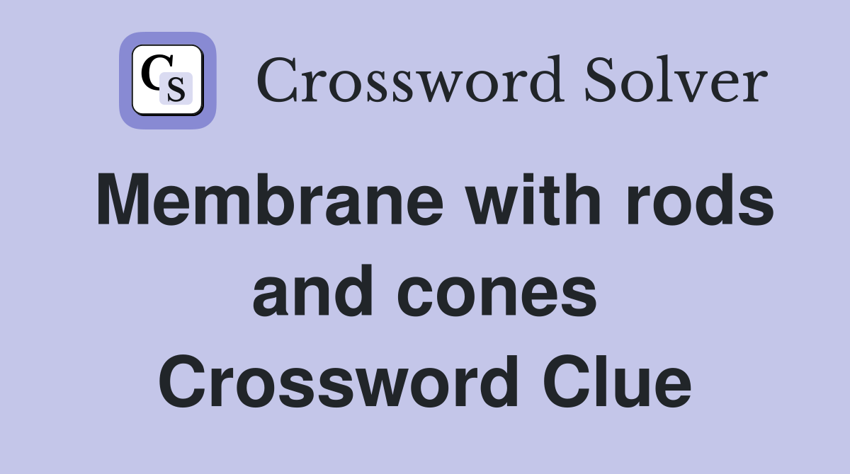 Membrane with rods and cones Crossword Clue