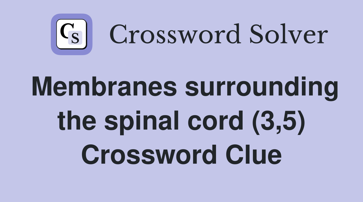 Membranes surrounding the spinal cord (3,5) Crossword Clue