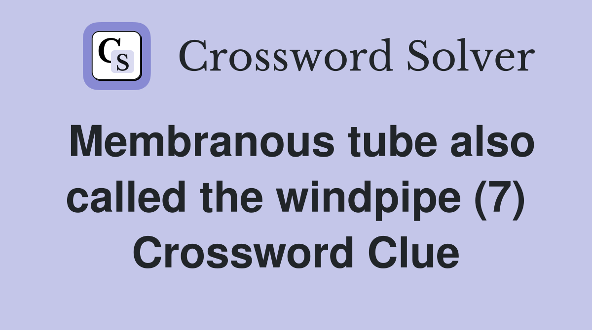 Membranous tube also called the windpipe (7) Crossword Clue