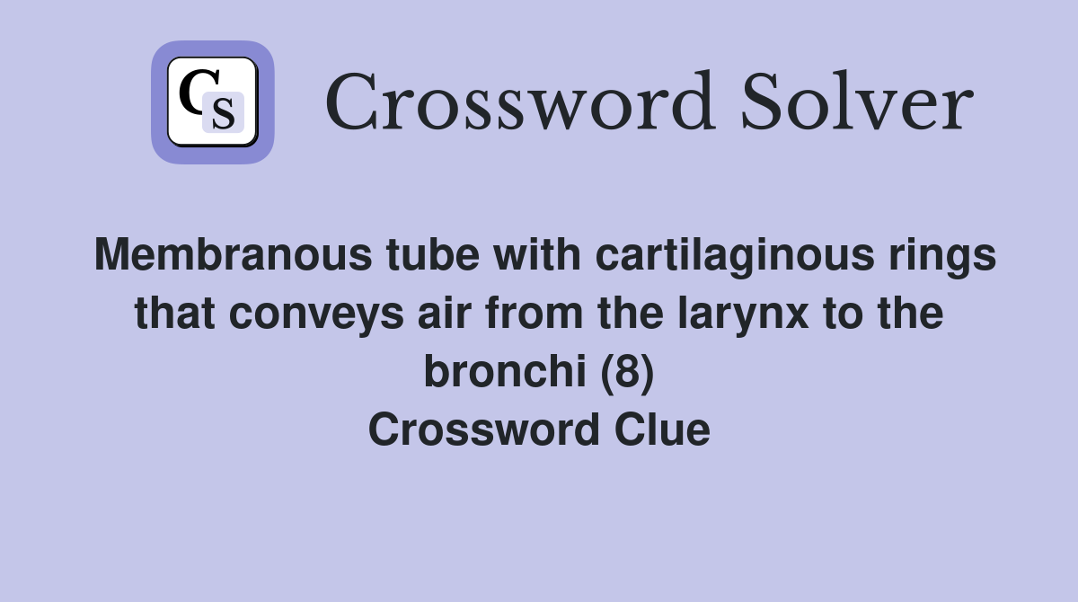 Membranous tube with cartilaginous rings that conveys air from the larynx to the bronchi (8) Crossword Clue
