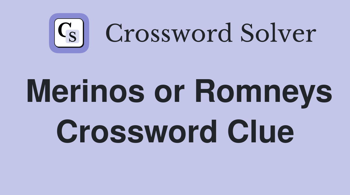 Merinos or Romneys Crossword Clue