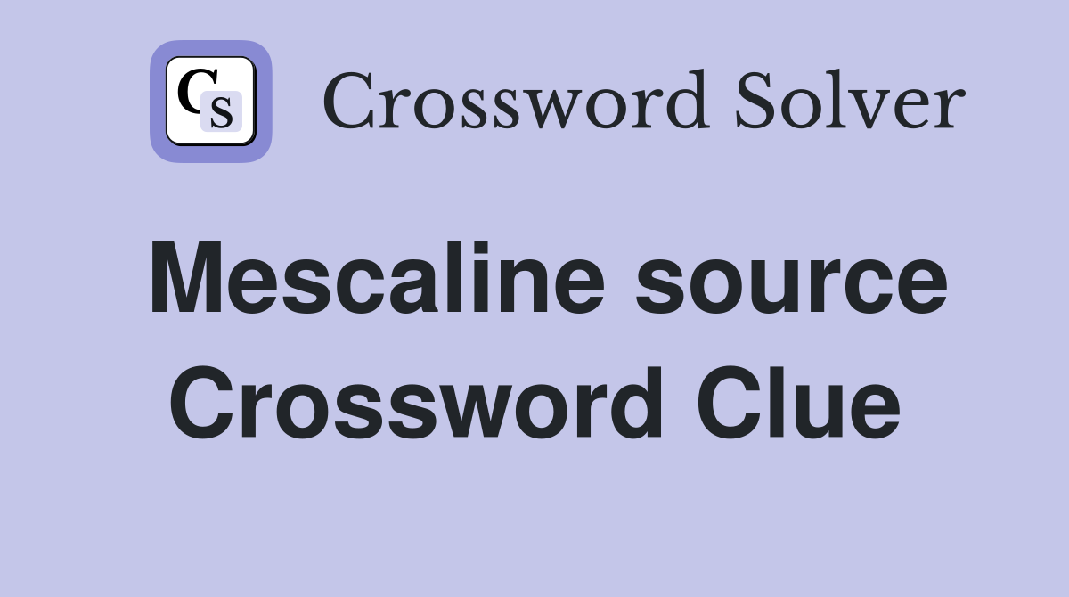 Mescaline source Crossword Clue