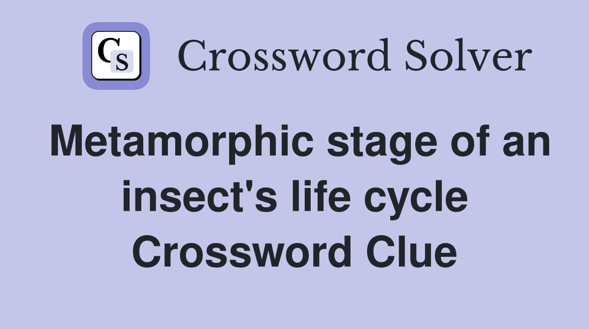 Metamorphic stage of an insect's life cycle Crossword Clue