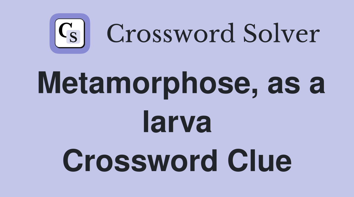 Metamorphose, as a larva Crossword Clue