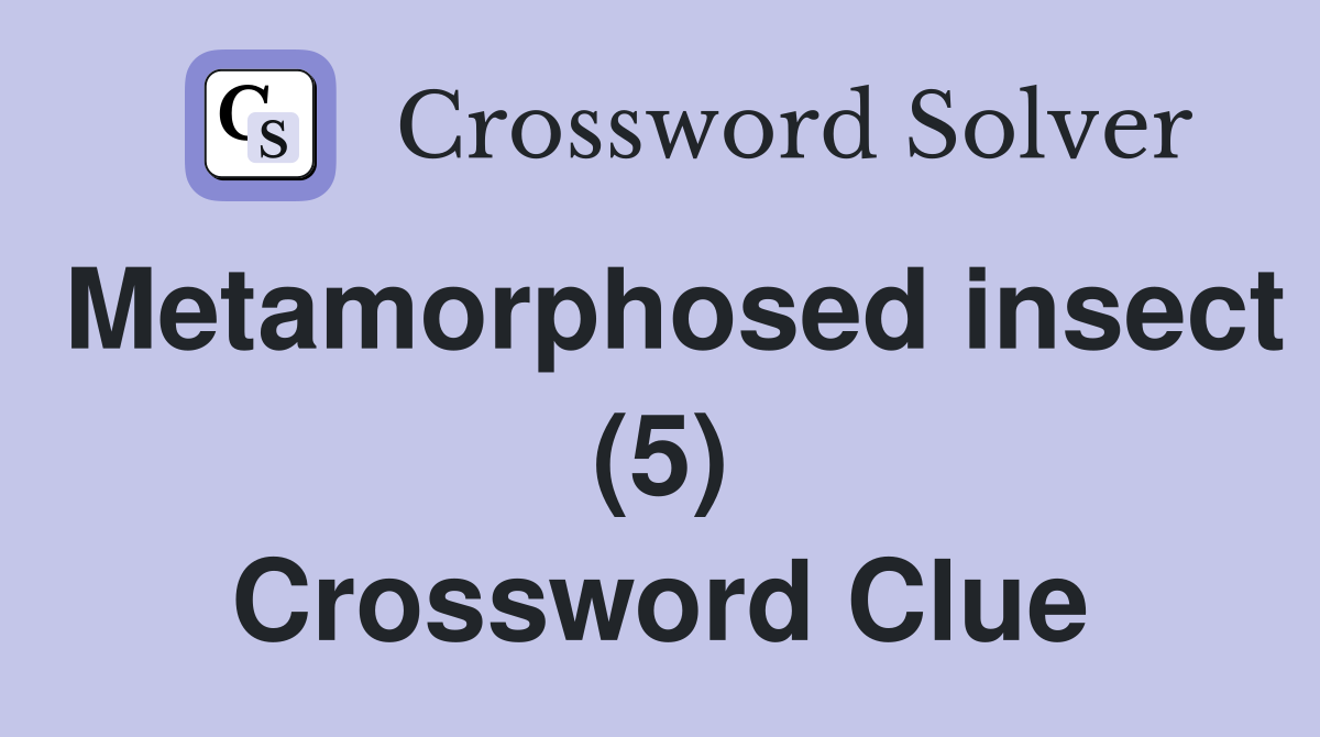 Metamorphosed insect (5) Crossword Clue