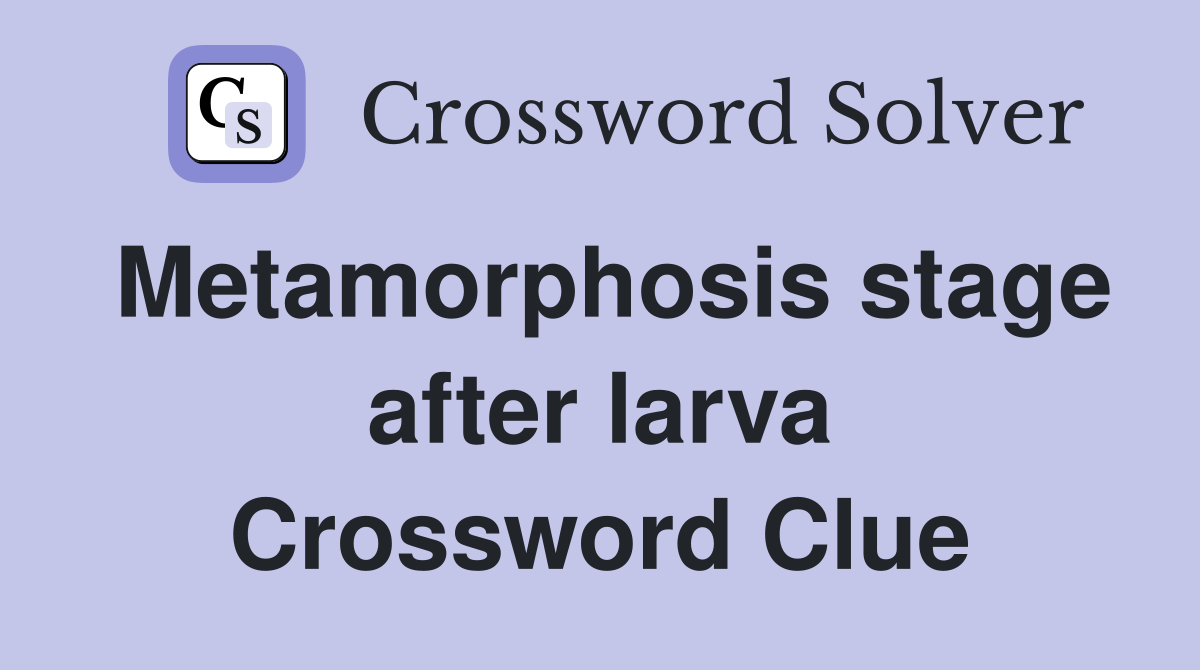 Metamorphosis stage after larva Crossword Clue