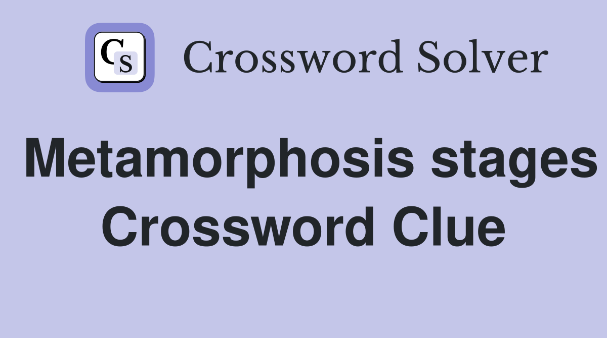 Metamorphosis stages Crossword Clue
