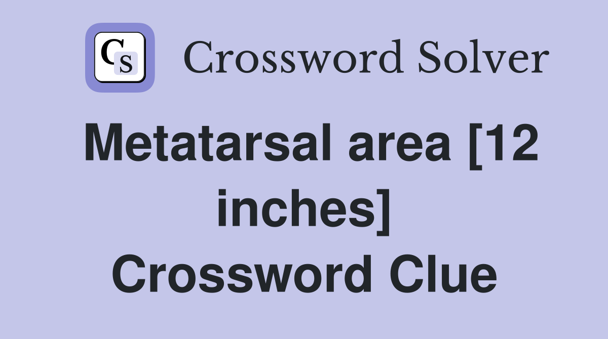 Metatarsal area [12 inches] Crossword Clue