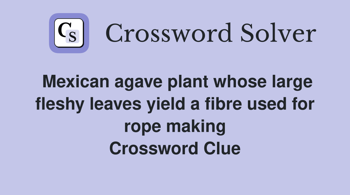 Mexican agave plant whose large fleshy leaves yield a fibre used for rope making Crossword Clue