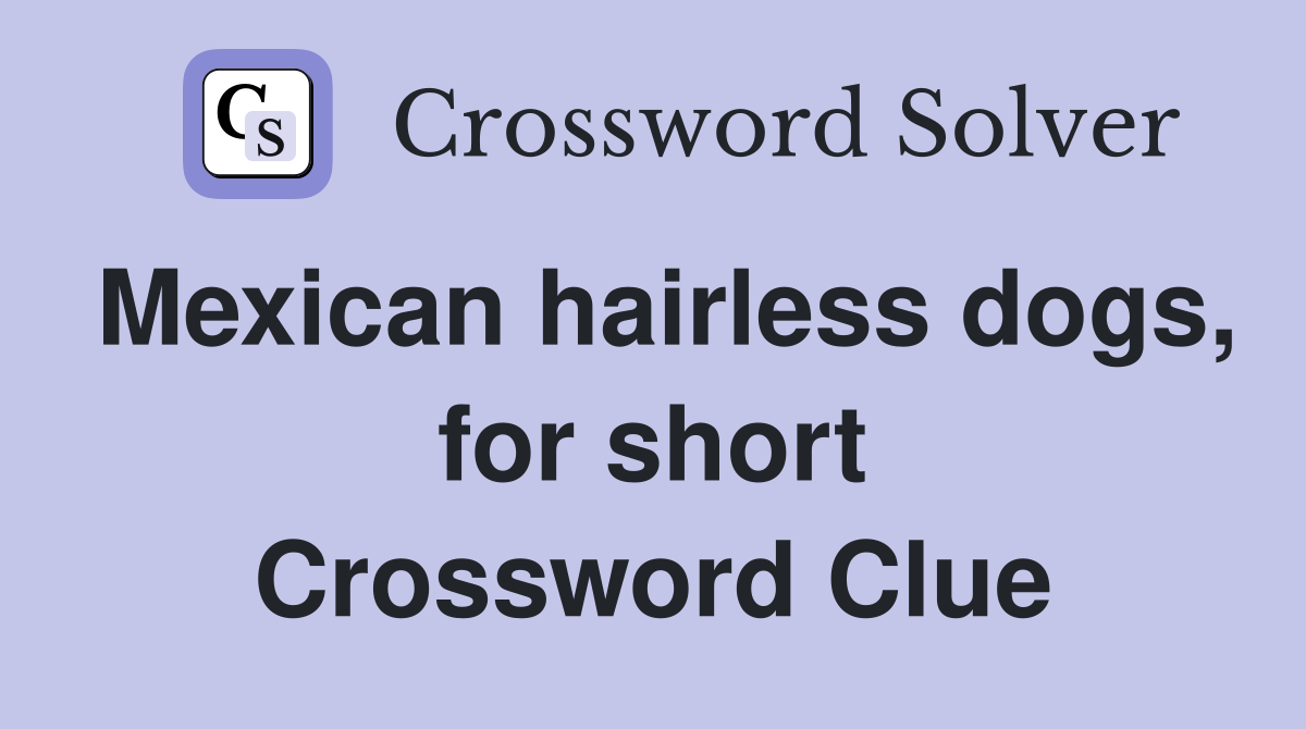 Mexican hairless dogs, for short Crossword Clue