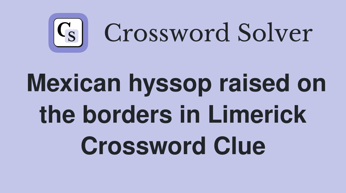 Mexican hyssop raised on the borders in Limerick Crossword Clue