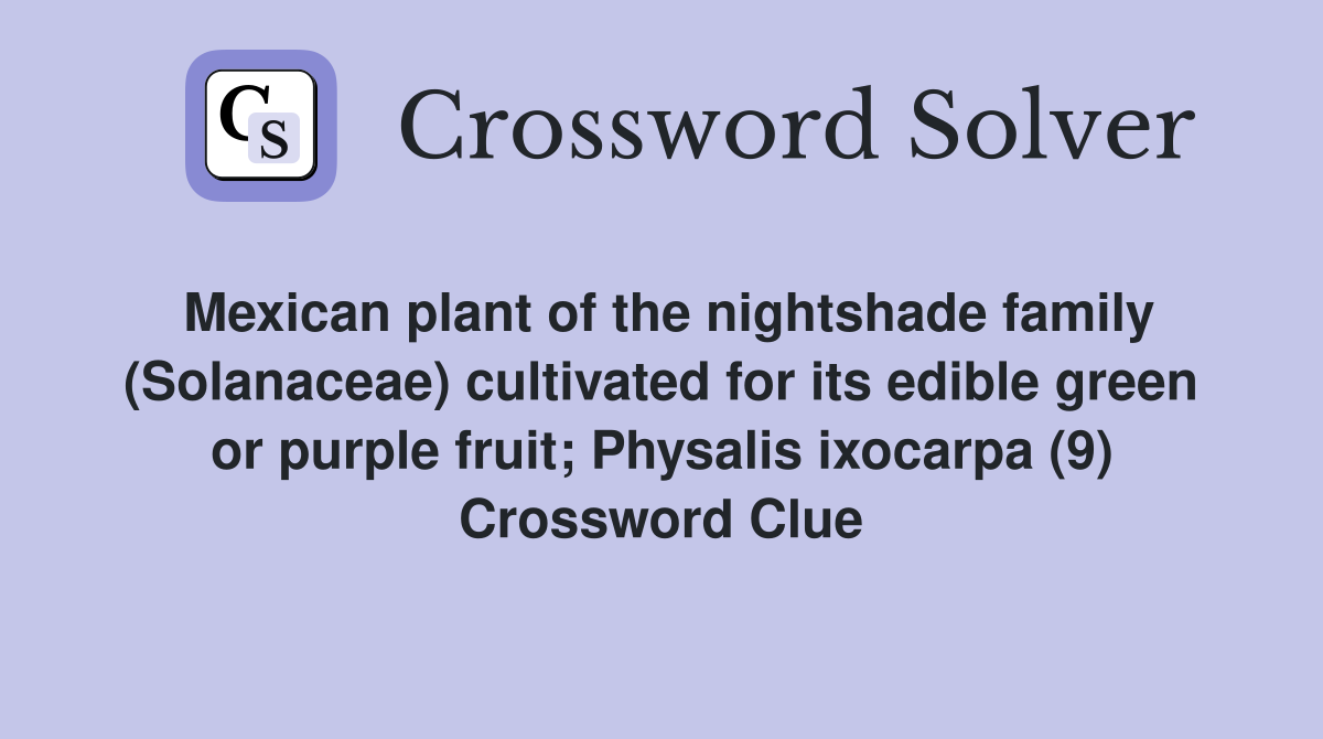Mexican plant of the nightshade family (Solanaceae) cultivated for its edible green or purple fruit; Physalis ixocarpa (9) Crossword Clue