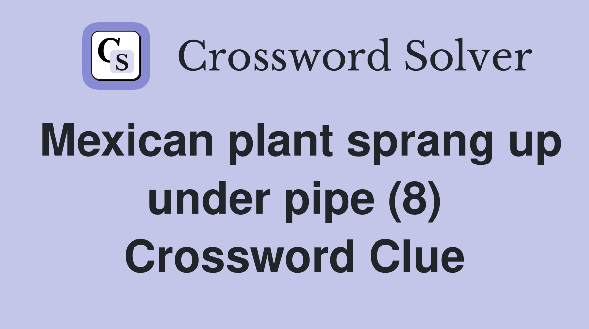 Mexican plant sprang up under pipe (8) Crossword Clue