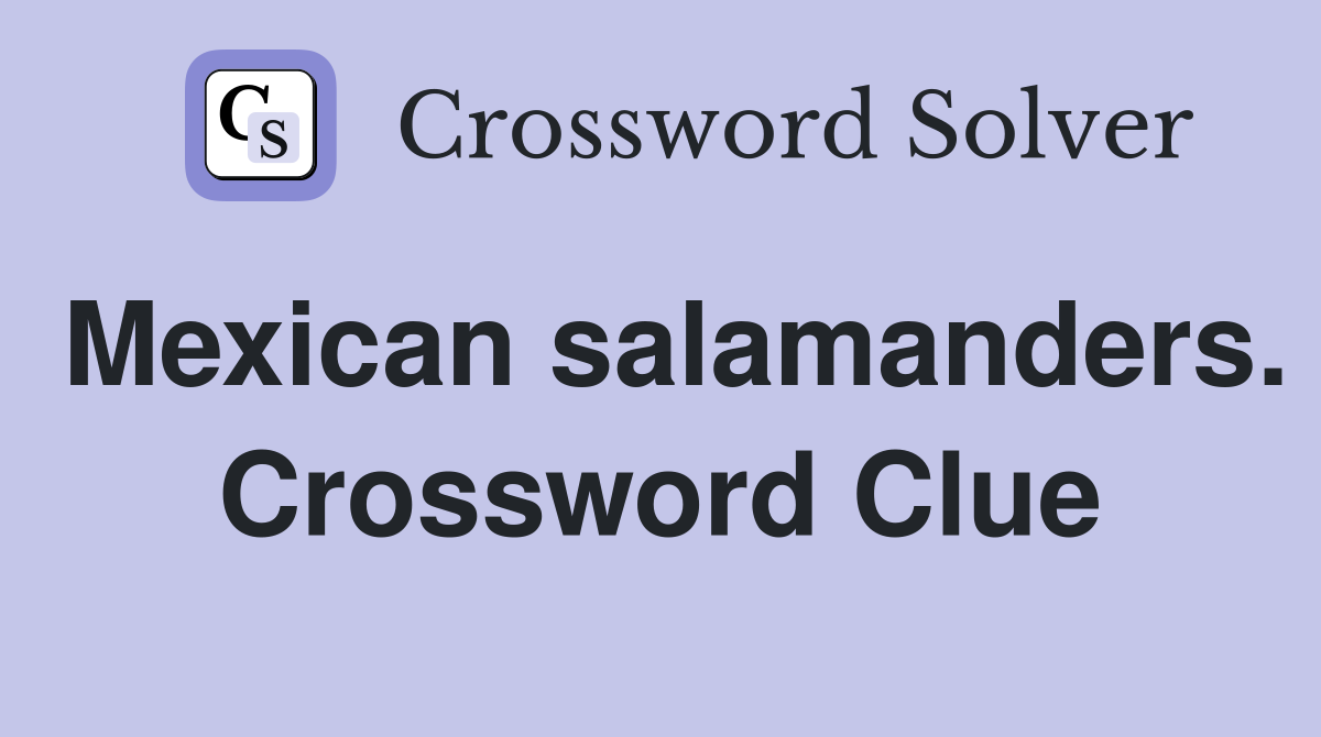 Mexican salamanders. Crossword Clue