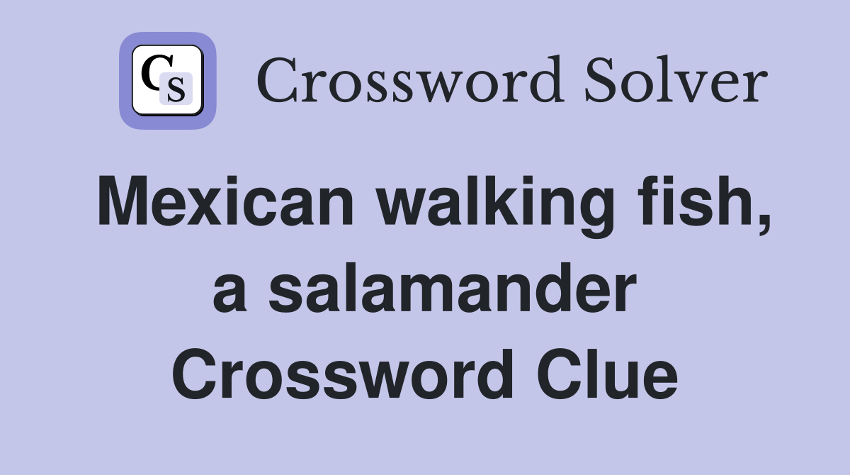 Mexican walking fish, a salamander Crossword Clue