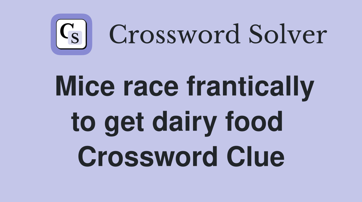 Mice race frantically to get dairy food  Crossword Clue
