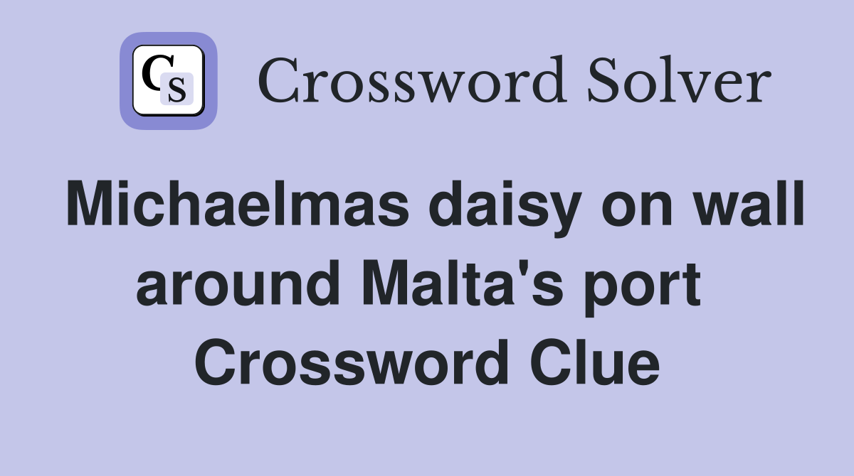 Michaelmas daisy on wall around Malta's port  Crossword Clue