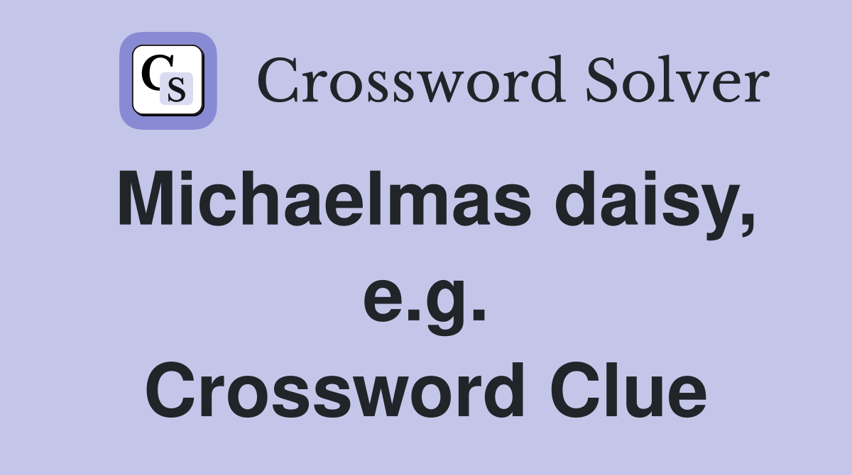 Michaelmas daisy, e.g. Crossword Clue
