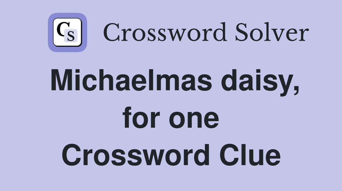 Michaelmas daisy, for one Crossword Clue