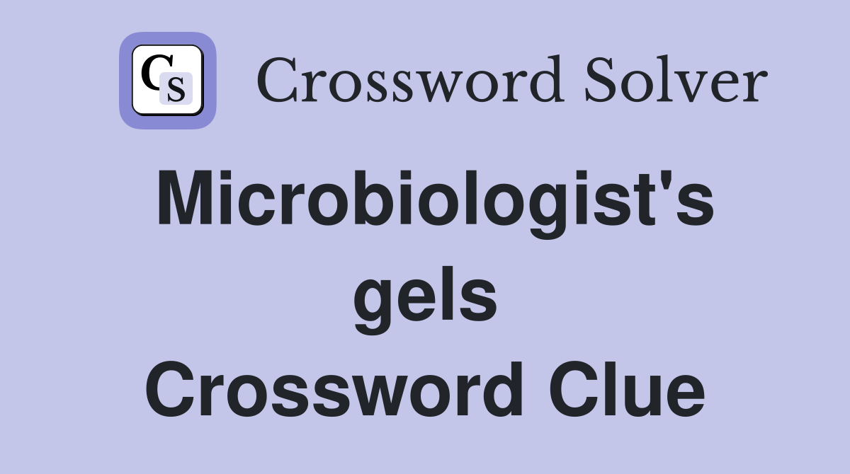 Microbiologist's gels Crossword Clue
