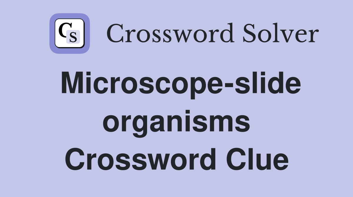 Microscope-slide organisms Crossword Clue