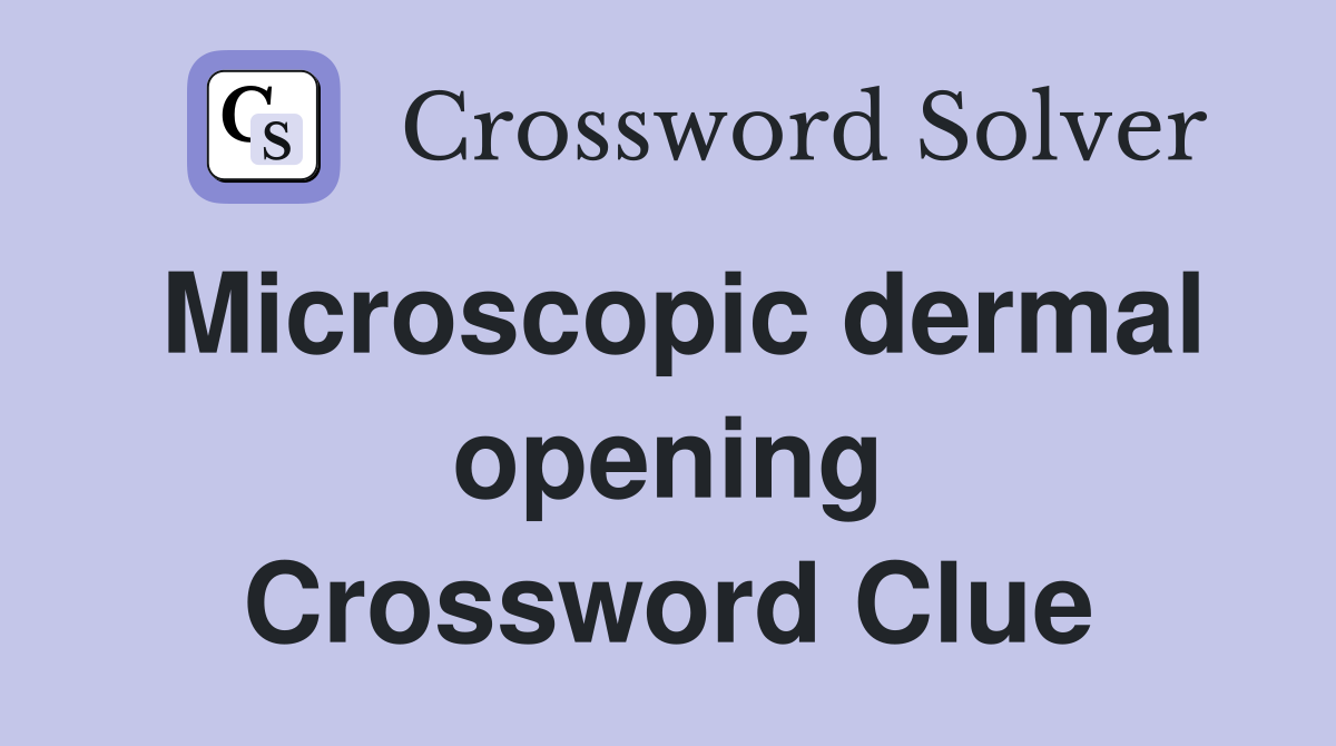 Microscopic dermal opening Crossword Clue