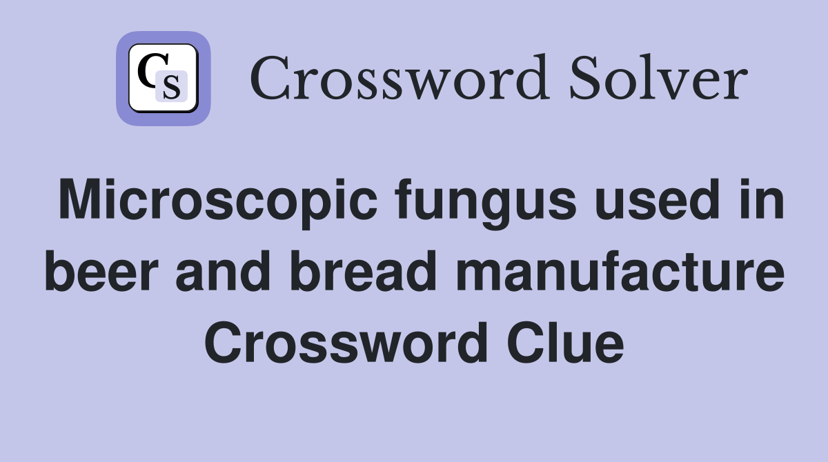 Microscopic fungus used in beer and bread manufacture Crossword Clue