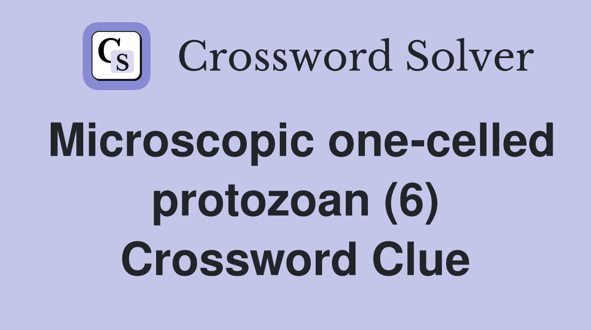 Microscopic one-celled protozoan (6) Crossword Clue