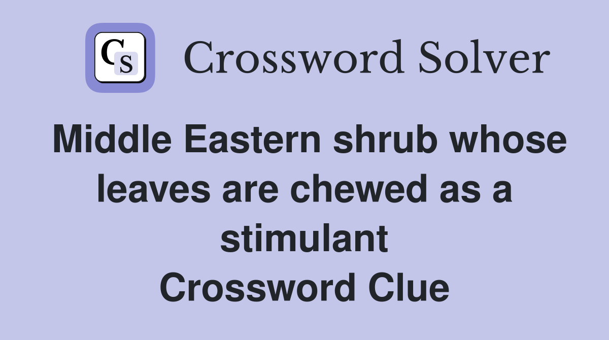 Middle Eastern shrub whose leaves are chewed as a stimulant Crossword Clue