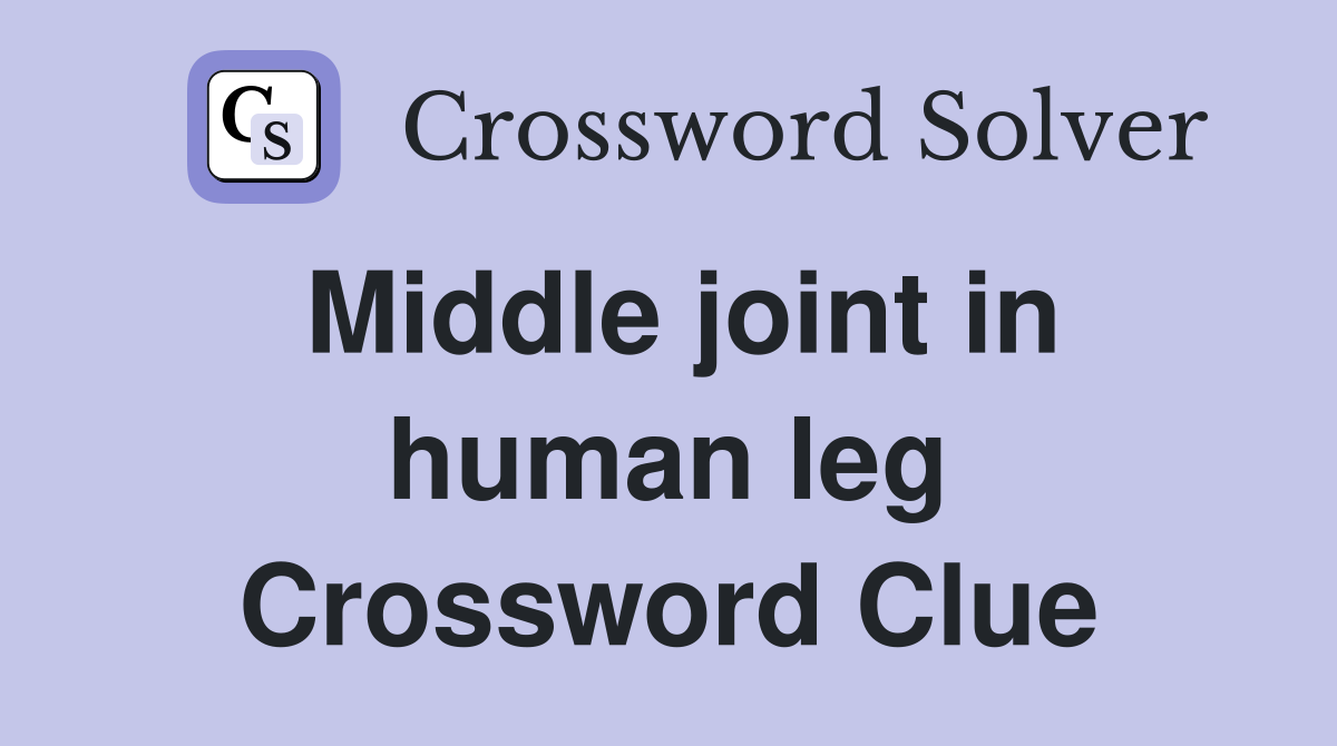 Middle joint in human leg Crossword Clue