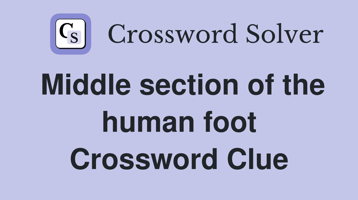 Middle section of the human foot Crossword Clue