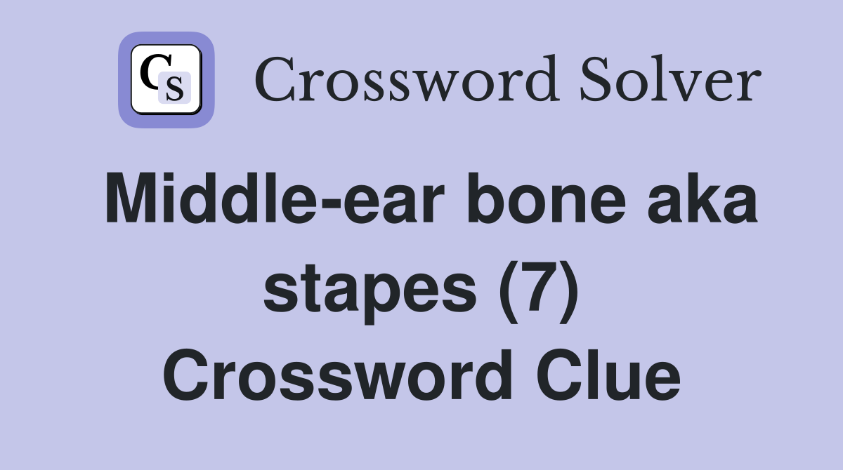 Middle-ear bone aka stapes (7) Crossword Clue