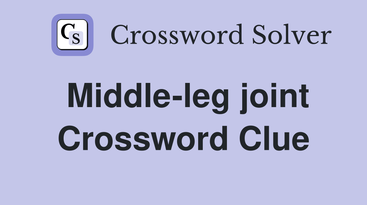 Middle-leg joint Crossword Clue