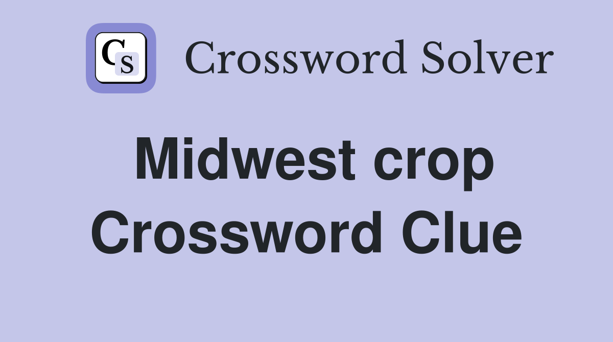 Midwest crop Crossword Clue