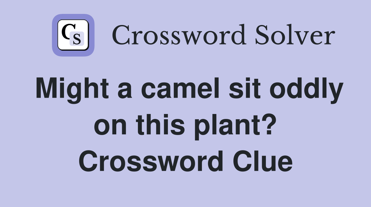 Might a camel sit oddly on this plant? Crossword Clue