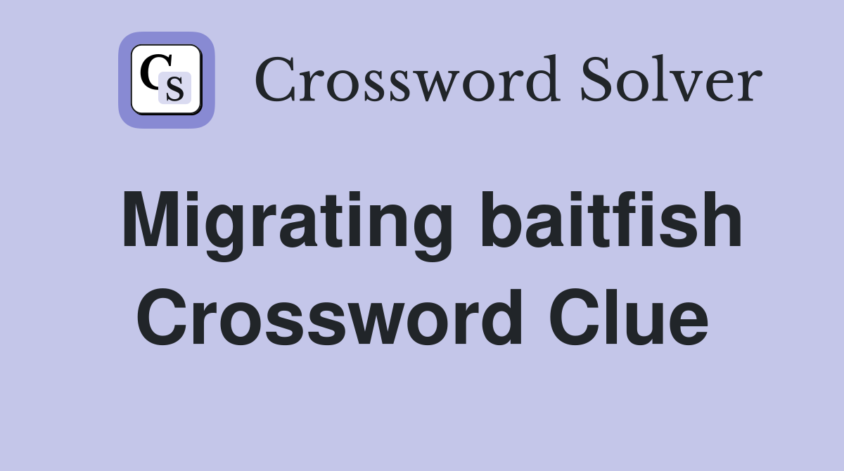 Migrating baitfish Crossword Clue