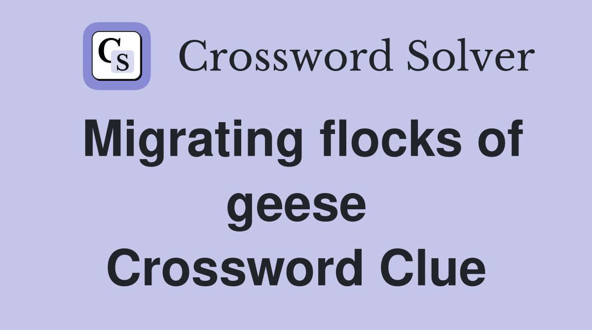 Migrating flocks of geese Crossword Clue