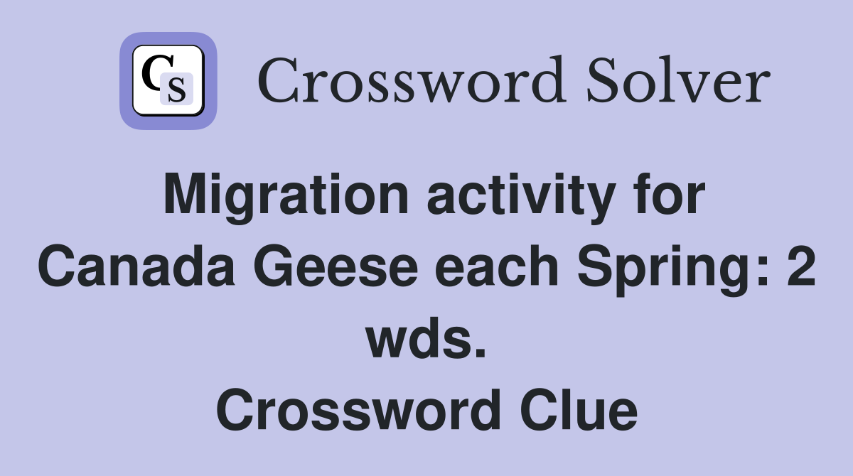 Migration activity for Canada Geese each Spring: 2 wds. Crossword Clue