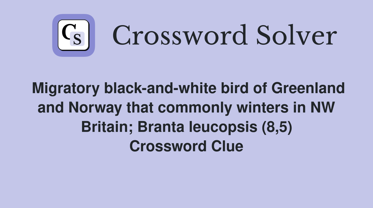 Migratory black-and-white bird of Greenland and Norway that commonly winters in NW Britain; Branta leucopsis (8,5) Crossword Clue