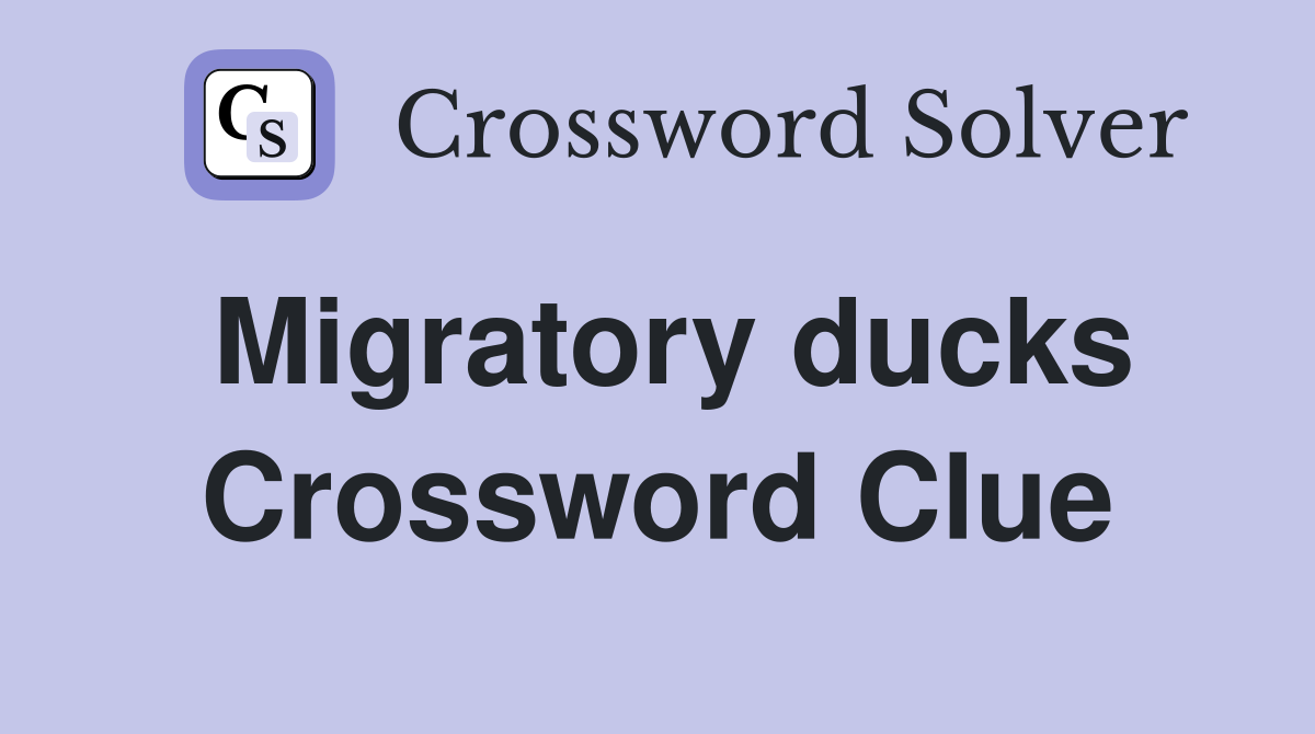 Migratory ducks Crossword Clue