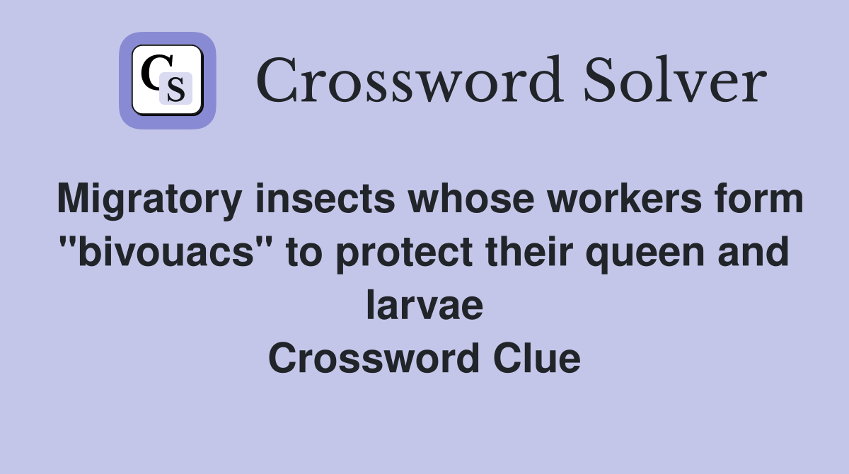 Migratory insects whose workers form "bivouacs" to protect their queen and larvae Crossword Clue
