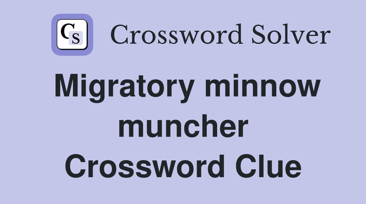 Migratory minnow muncher Crossword Clue