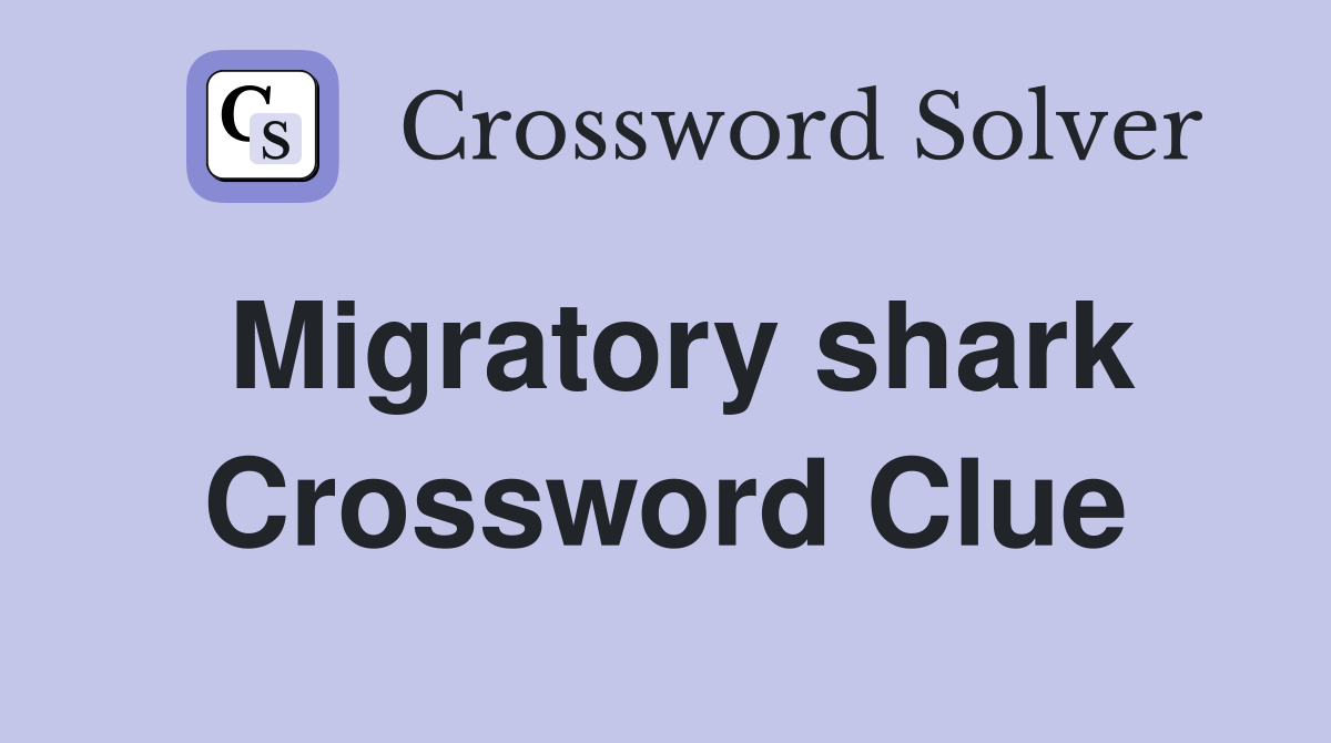 Migratory shark Crossword Clue