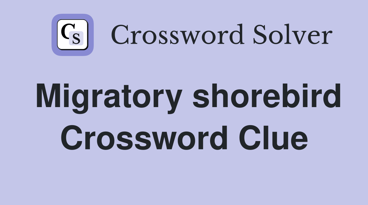 Migratory shorebird Crossword Clue
