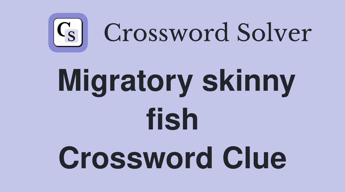 Migratory skinny fish Crossword Clue