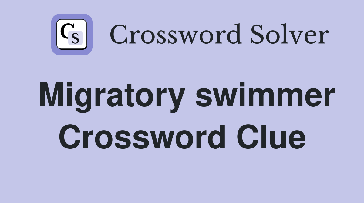 Migratory swimmer Crossword Clue