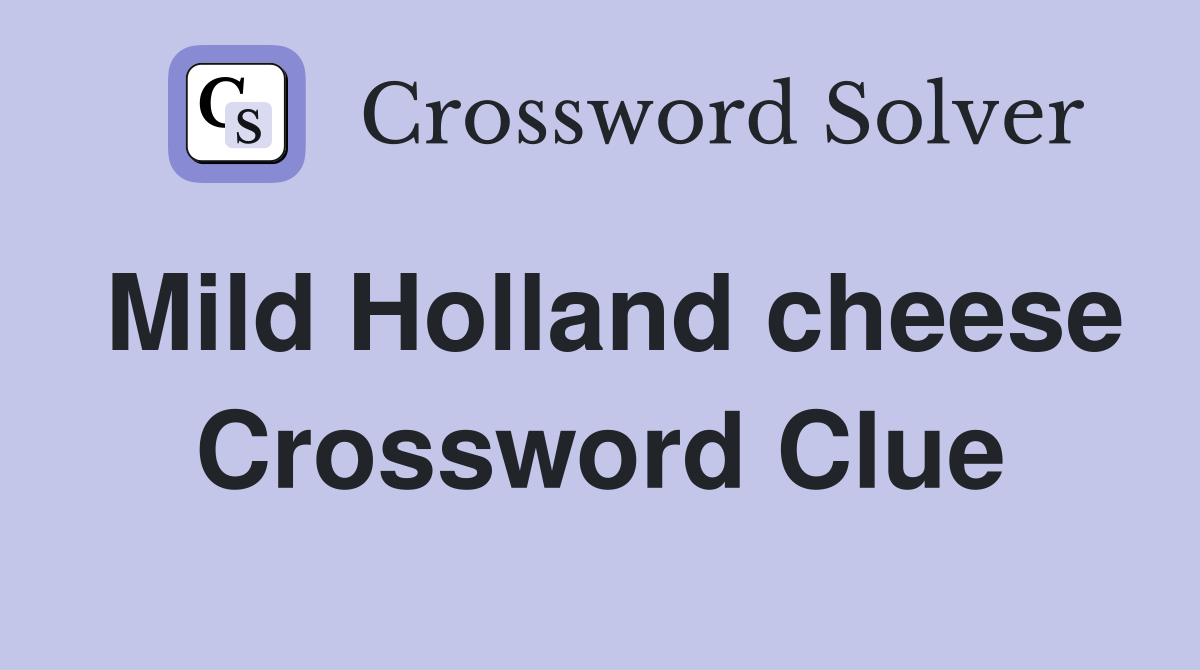 Mild Holland cheese Crossword Clue